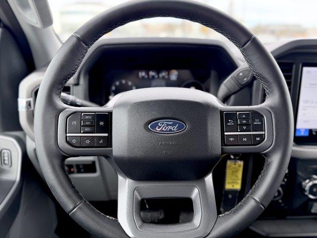 ford F-150 2025 - 17