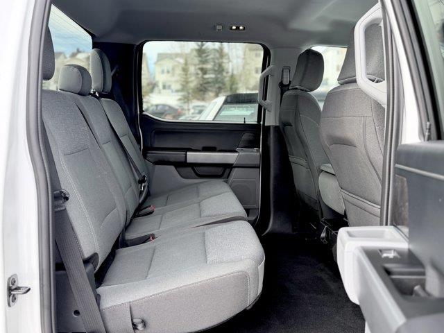 ford F-150 2025 - 25