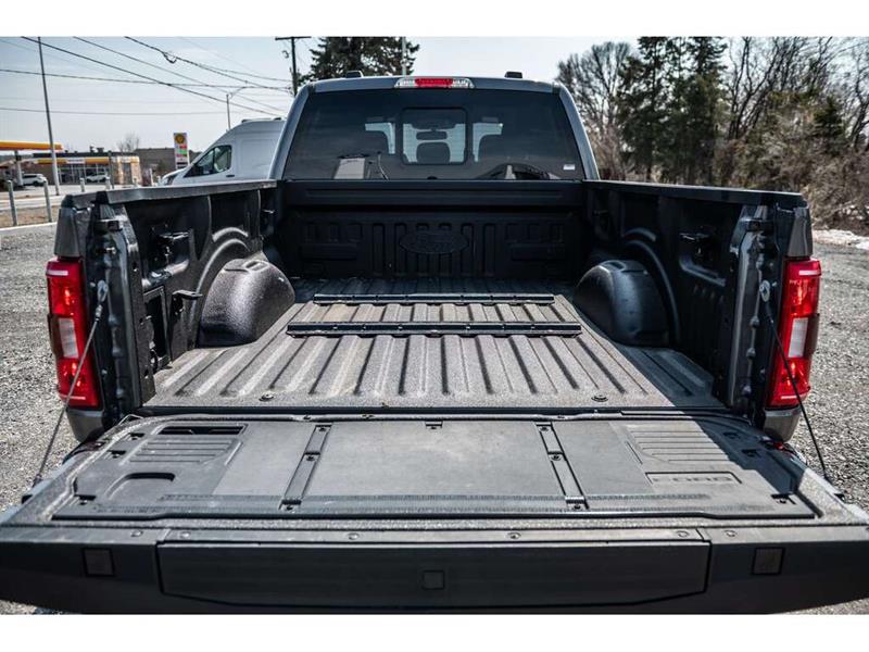 ford F-150 2023 - 12