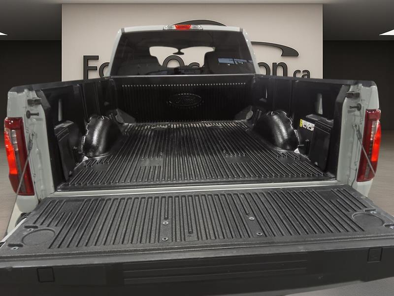 ford F-150 2024 - 7