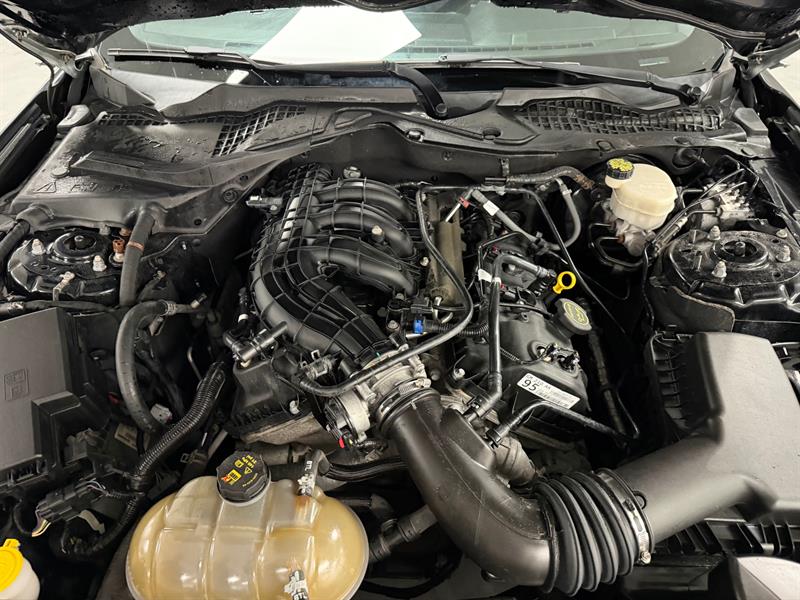 ford Mustang 2016 - 19