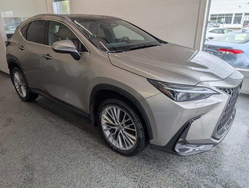 lexus NX 2024