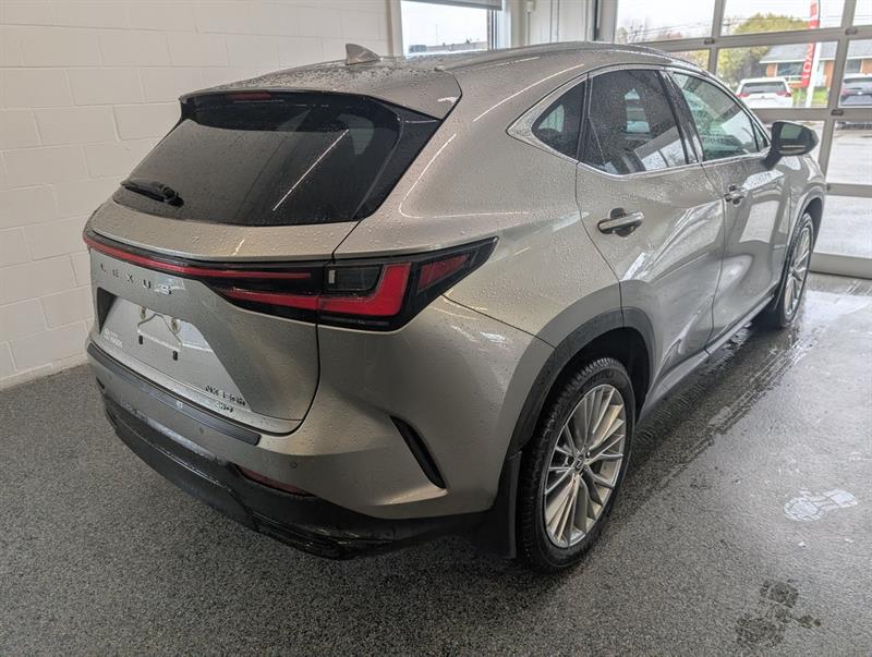 lexus NX 2024 - 3