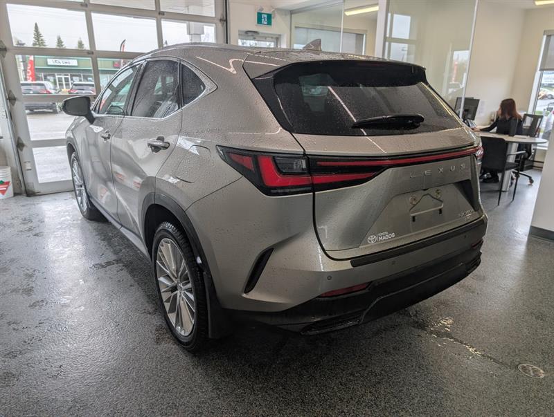 lexus NX 2024 - 4