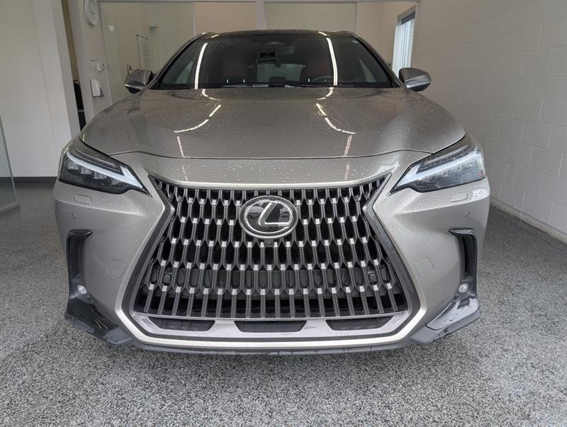 lexus NX 2024 - 5
