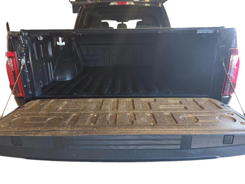 ford F-150 2024 - 16
