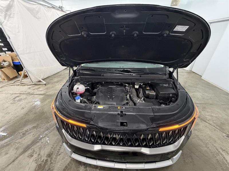 kia Carnival 2025 - 12