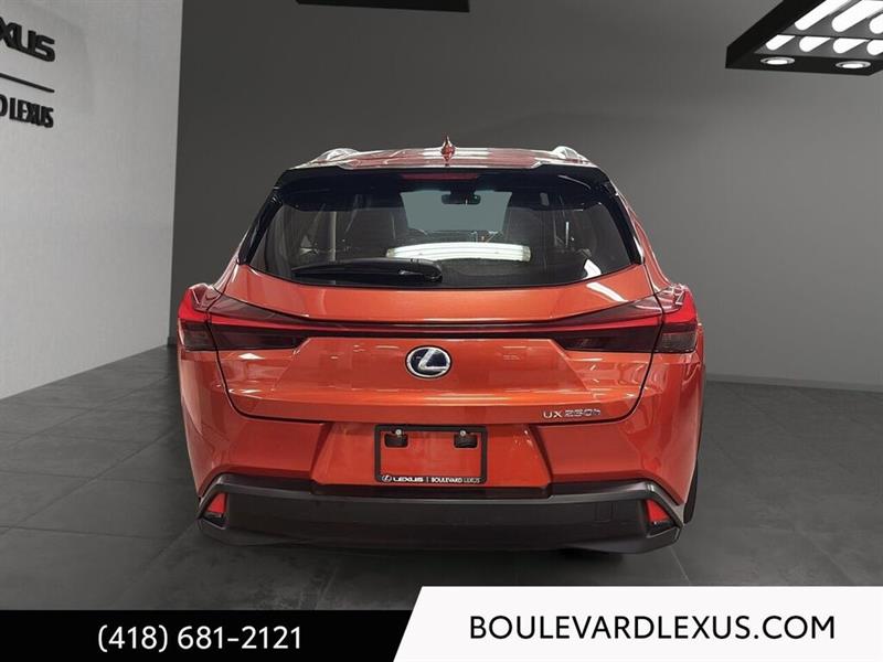 lexus UX 2020 - 5