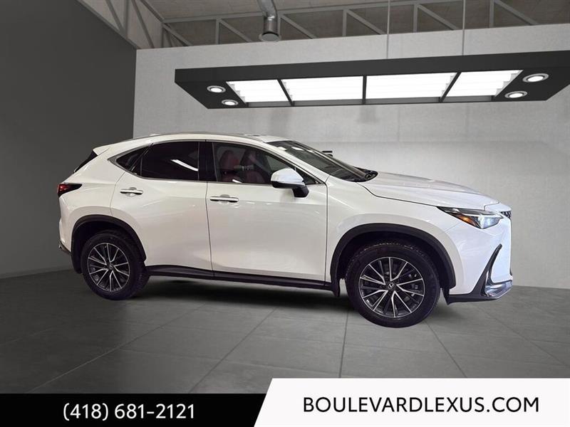 lexus NX 2023 - 23