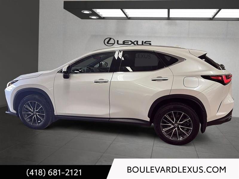 lexus NX 2023 - 27