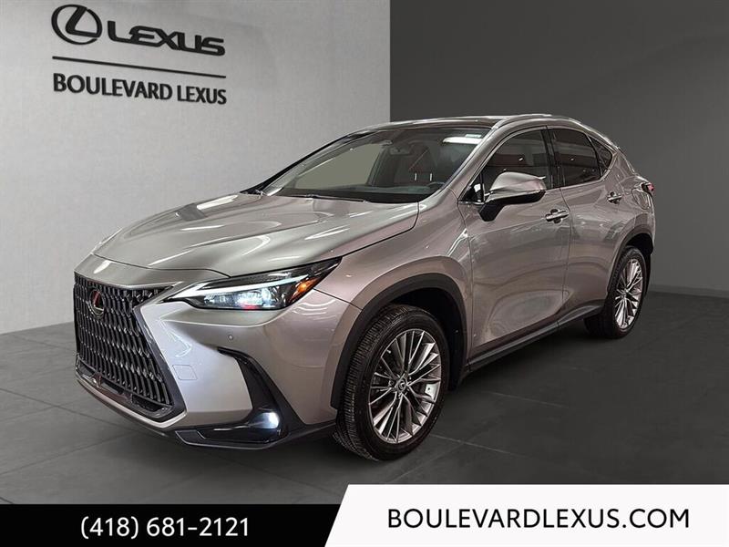 lexus NX 2022