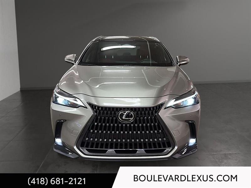 lexus NX 2022 - 2