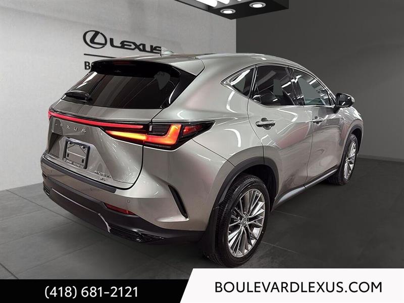 lexus NX 2022 - 4