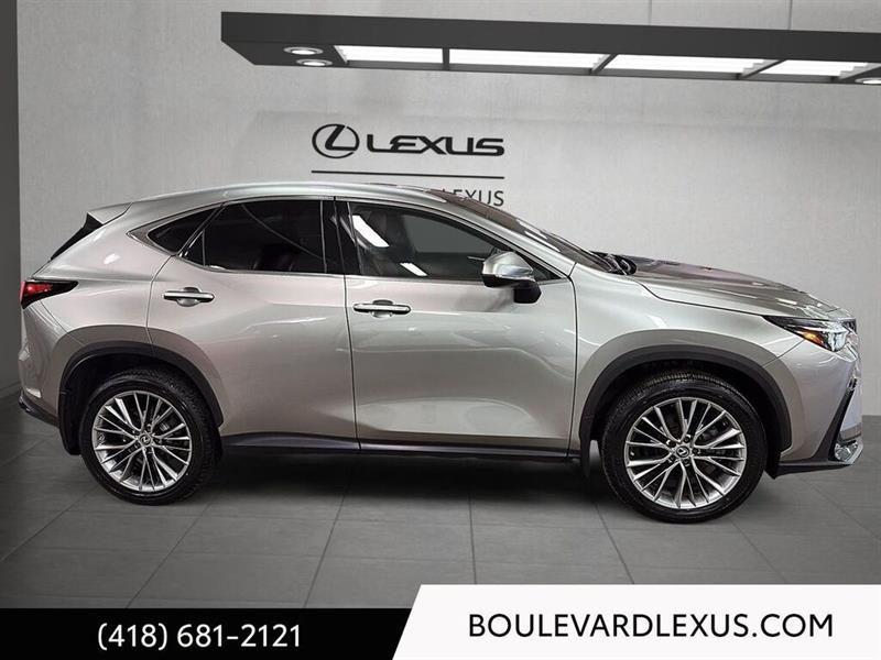 lexus NX 2022 - 20