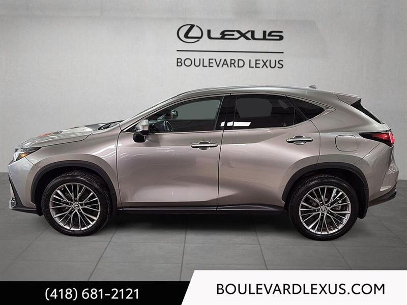 lexus NX 2022 - 24