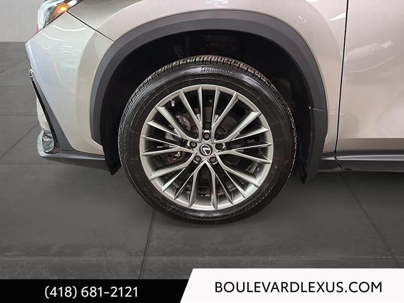 lexus NX 2022 - 25