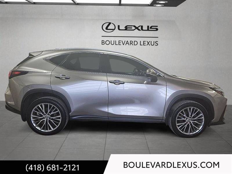 lexus NX 2024 - 3