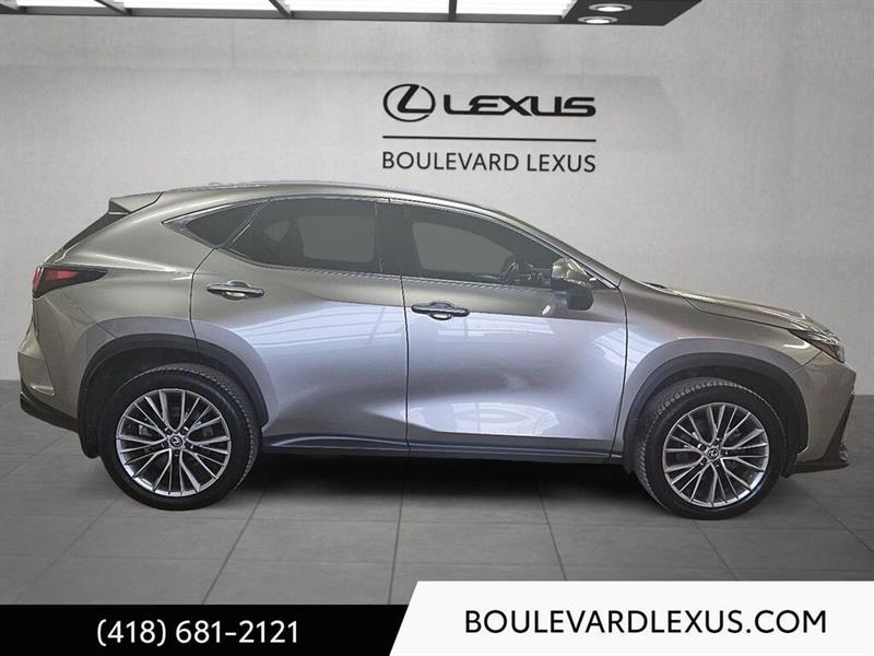 lexus NX 2024 - 24