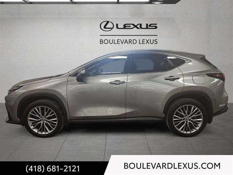 lexus NX 2024 - 34