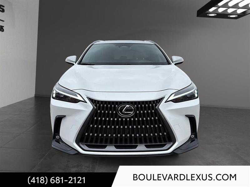 lexus NX 2024 - 2