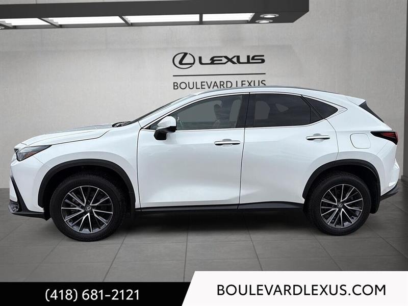 lexus NX 2024 - 6