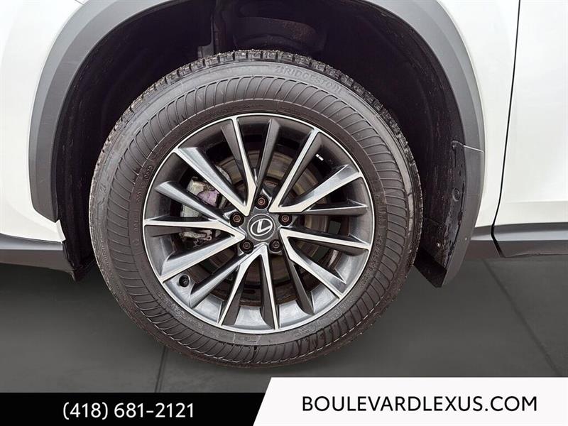 lexus NX 2024 - 7