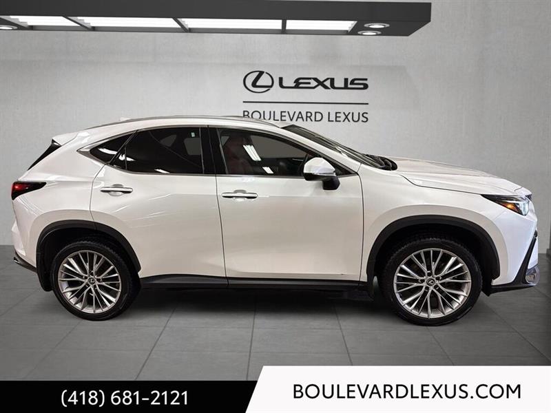 lexus NX 2024 - 3