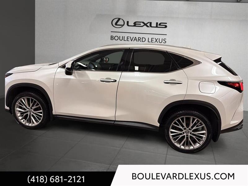 lexus NX 2024 - 6