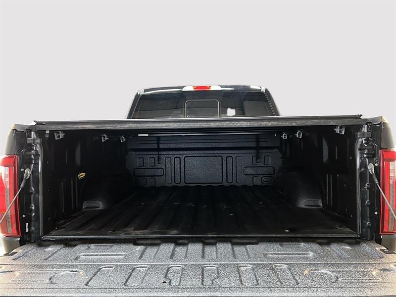 ford F-150 2024 - 12