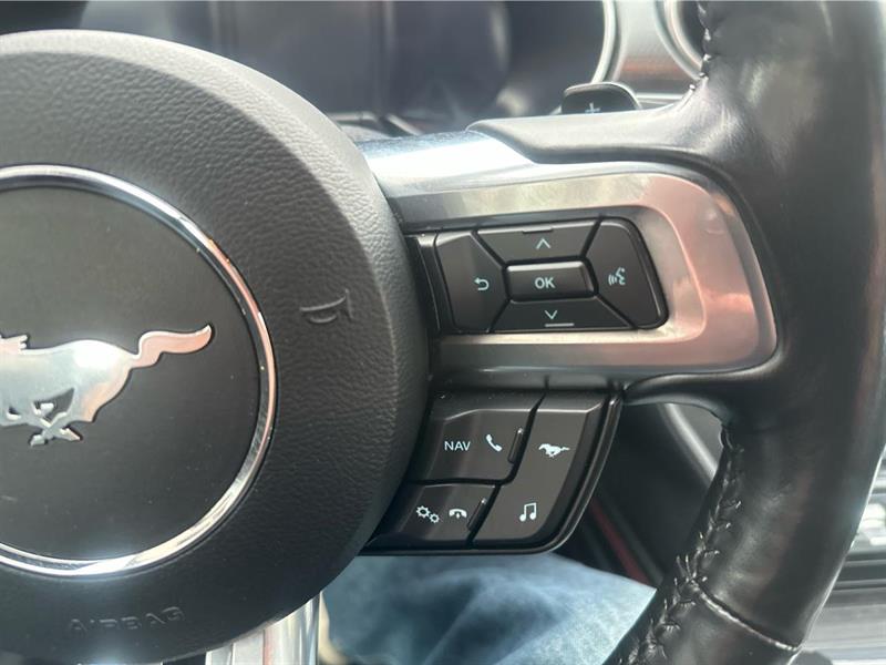 ford Mustang 2022 - 14