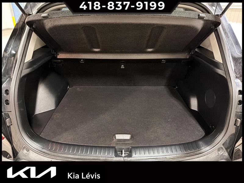 kia Seltos 2022 - 15
