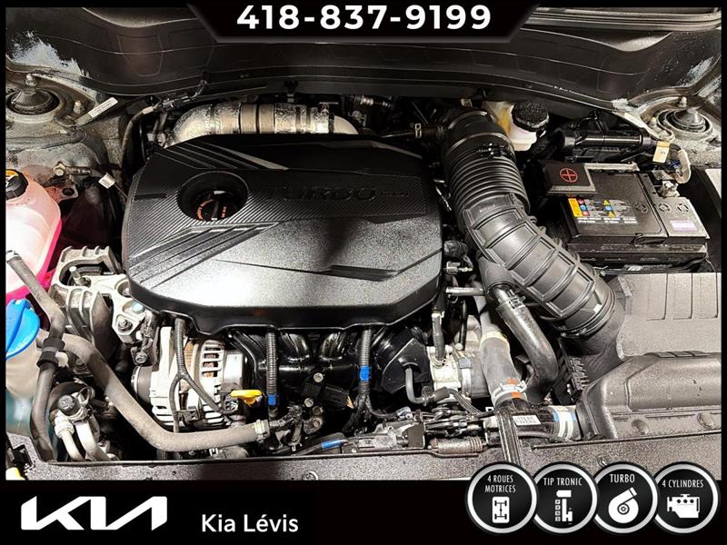 kia Seltos 2022 - 16