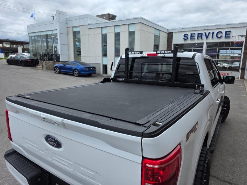 ford F-150 2023 - 10