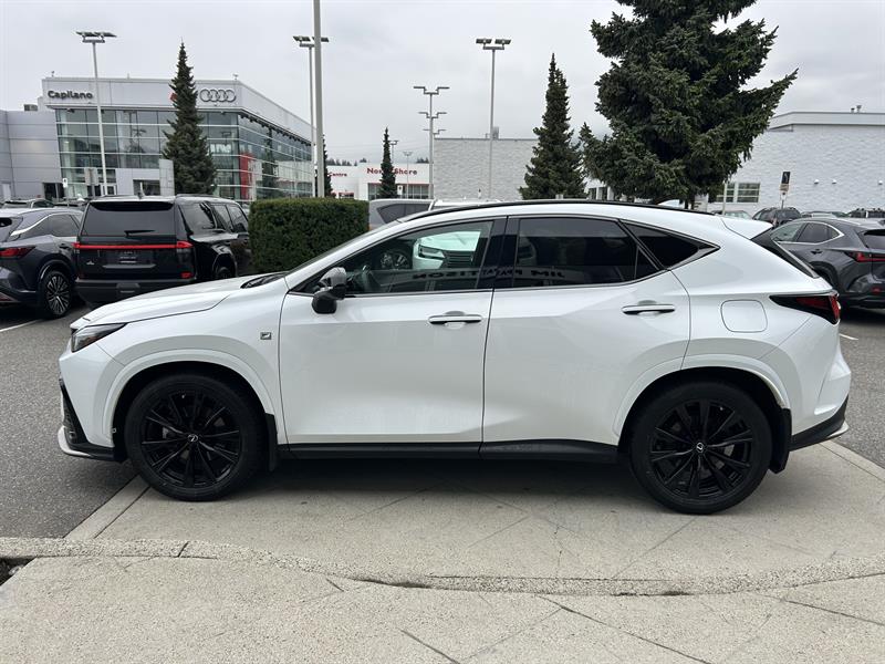 lexus NX 2022 - 2