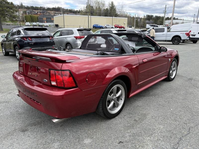 ford Mustang 2004 - 6