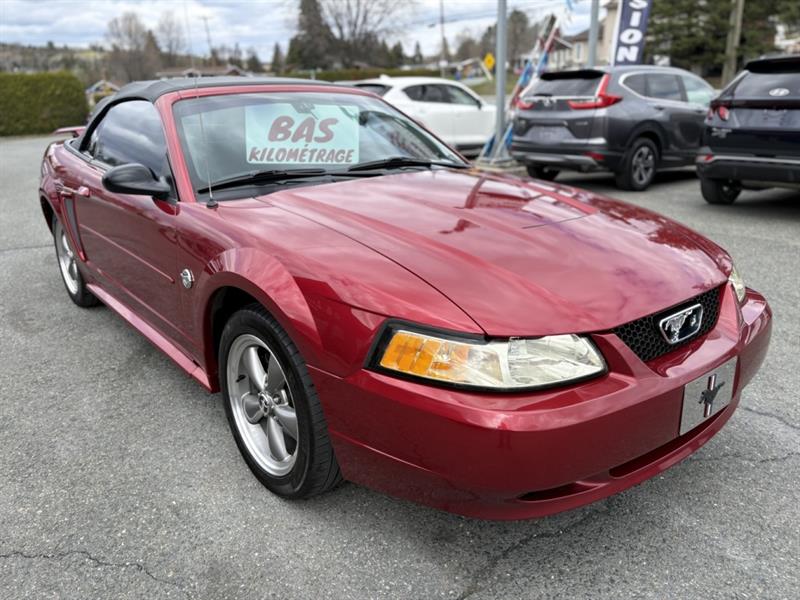 ford Mustang 2004 - 13