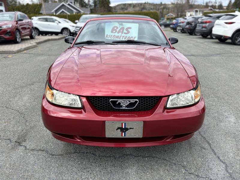 ford Mustang 2004 - 14