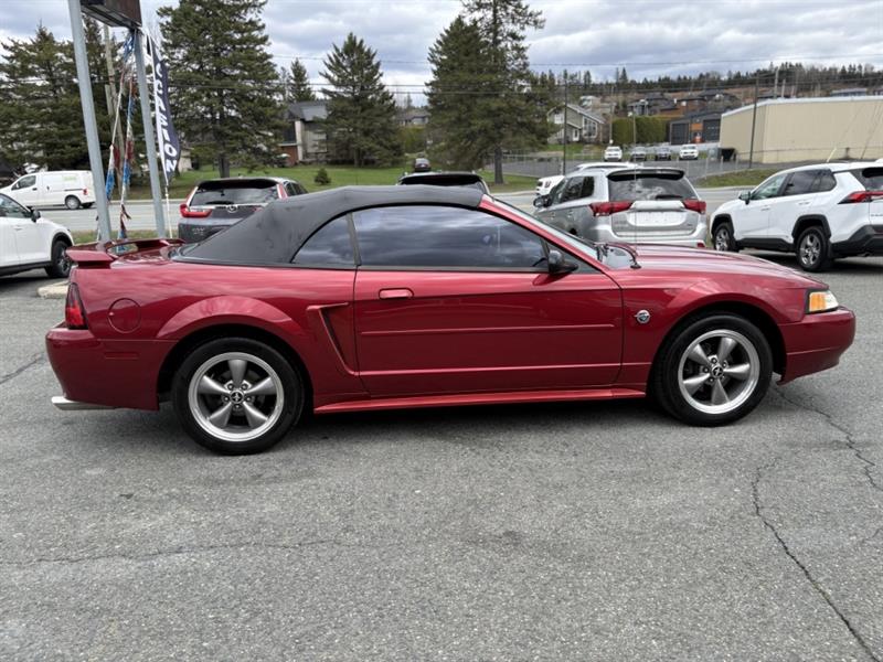 ford Mustang 2004 - 16