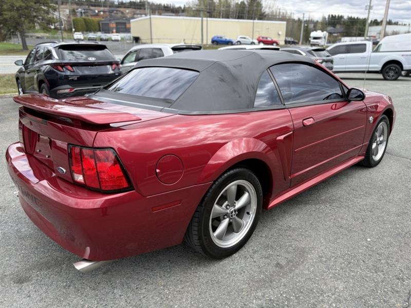 ford Mustang 2004 - 17