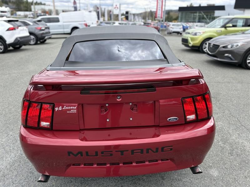 ford Mustang 2004 - 19