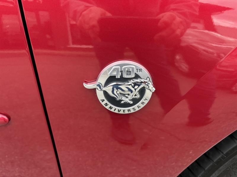 ford Mustang 2004 - 22