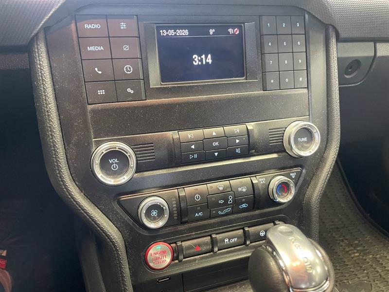 ford Mustang 2019 - 13