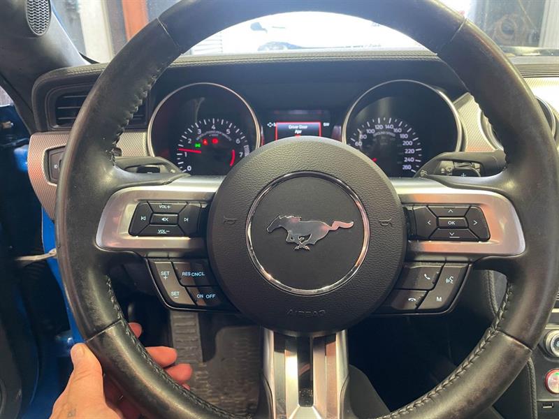 ford Mustang 2019 - 14