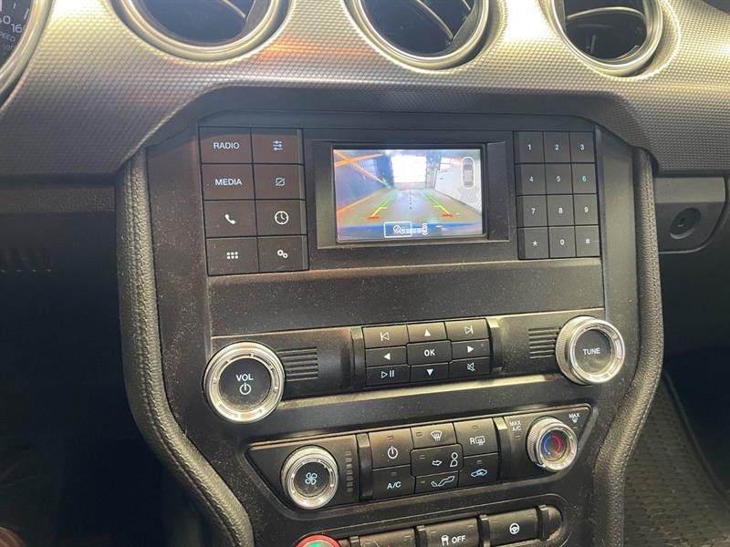 ford Mustang 2019 - 12