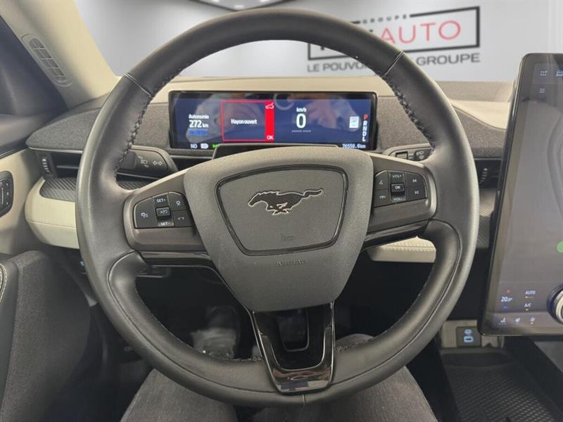 ford Mustang Mach-E 2022 - 12