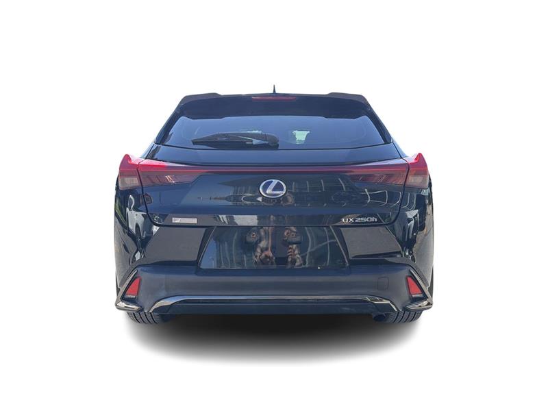 lexus UX 2019 - 12