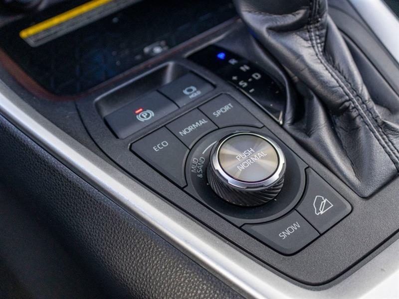 toyota RAV4 2019 - 15