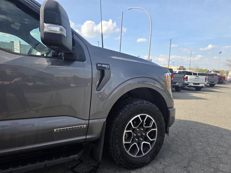 ford F150 2022 - 6