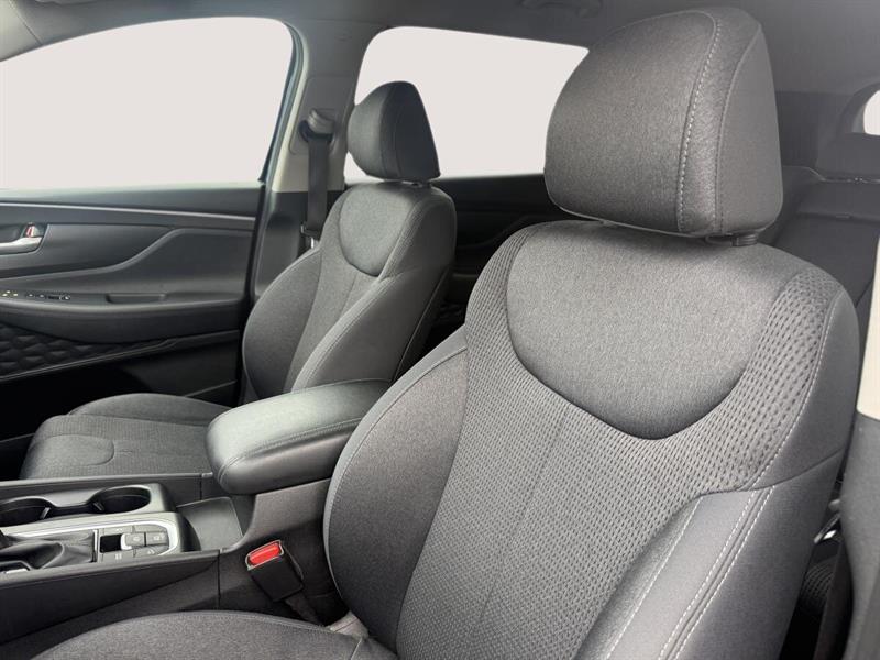 hyundai Santa Fe 2019 - 6