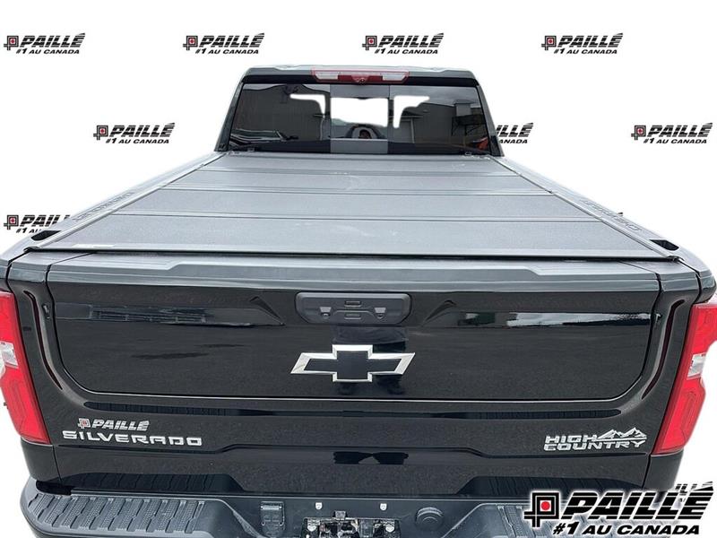 chevrolet Silverado 1500 2024 - 19